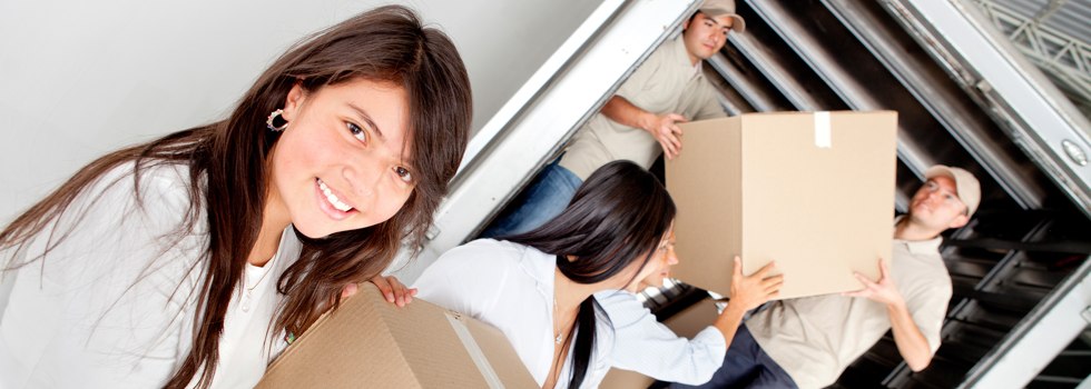 Professional Removalists Neridup